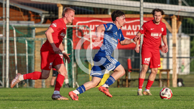 Pachern vs. Eggendorf Hartberg Amateure