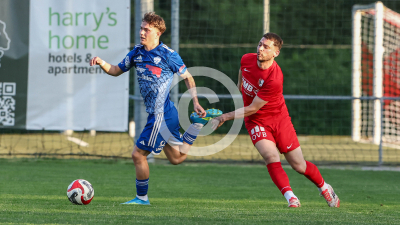 Pachern vs. Eggendorf Hartberg Amateure