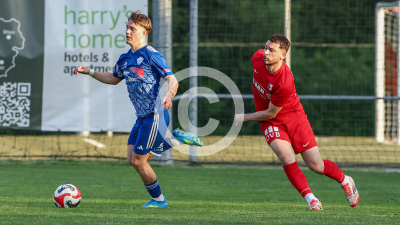 Pachern vs. Eggendorf Hartberg Amateure