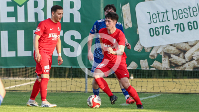 Pachern vs. Eggendorf Hartberg Amateure