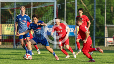 Pachern vs. Eggendorf Hartberg Amateure