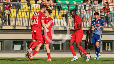 Pachern vs. Eggendorf Hartberg Amateure