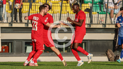 Pachern vs. Eggendorf Hartberg Amateure