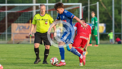 Pachern vs. Eggendorf Hartberg Amateure