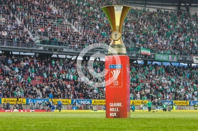 Rapid Wien vs. Sturm Graz