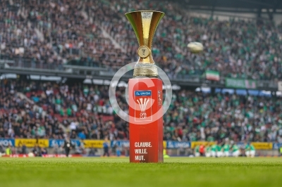 Rapid Wien vs. Sturm Graz