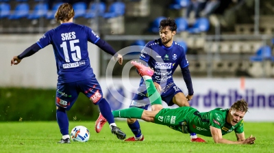 St. Anna vs. Gleisdorf