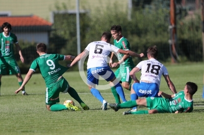 St. Michael vs. DSV Leoben