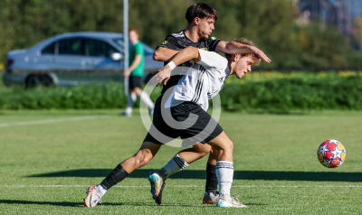 St. Peter Frst. vs. Zeltweg