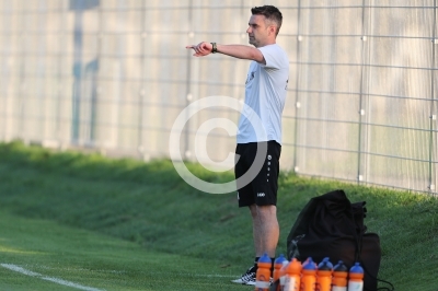 Sturm Graz II vs. Allerheiligen