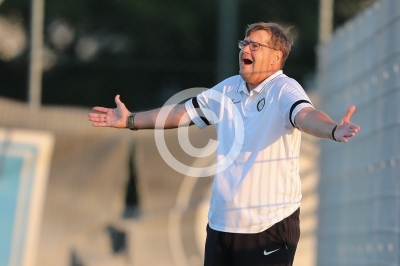 Sturm Graz II vs. Allerheiligen