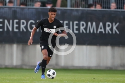 Sturm Graz II vs. Allerheiligen