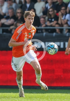 Sturm Graz vs. Hartberg
