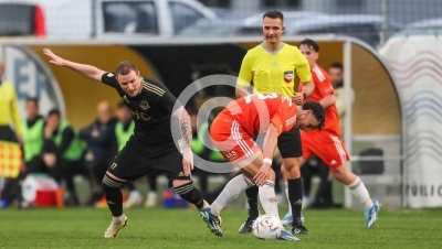 Tillmitsch vs. Hartberg Amateure