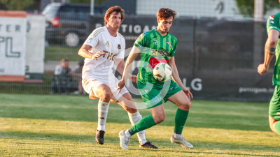 Tillmitsch vs. Ilzer SV