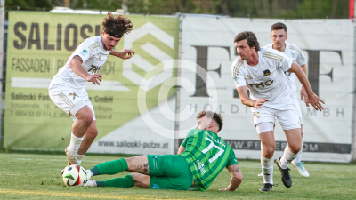 Tillmitsch vs. Ilzer SV