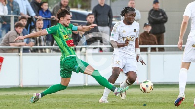 Tillmitsch vs. Ilzer SV