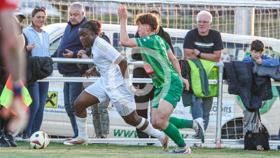 Tillmitsch vs. Ilzer SV