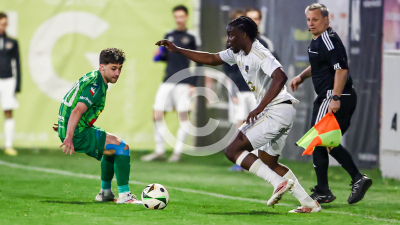 Tillmitsch vs. Ilzer SV