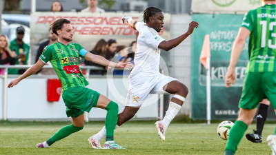 Tillmitsch vs. Ilzer SV