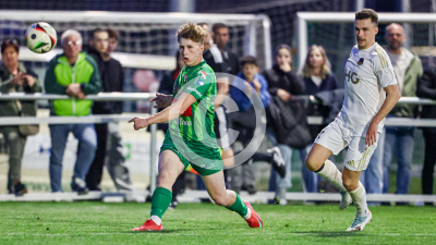 Tillmitsch vs. Ilzer SV