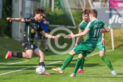Weiz vs. DSV Leoben