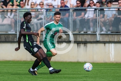 Weiz vs. DSV Leoben