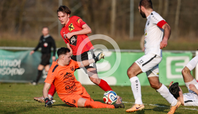 Wildon vs. Gnas