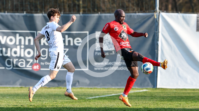 Wildon vs. Gnas