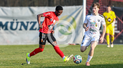 Wildon vs. Gnas