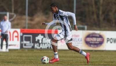 Wildon vs. LASK Amateure
