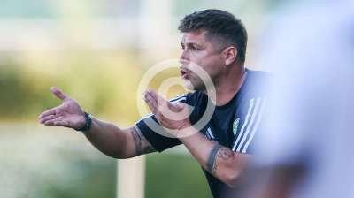 Zeltweg vs. DSV Leoben